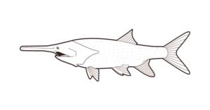 Paddlefish Alt Text